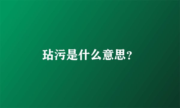 玷污是什么意思?