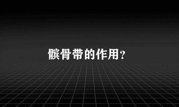 髌骨带的作用？