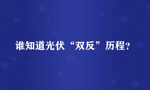 谁知道光伏“双反”历程？