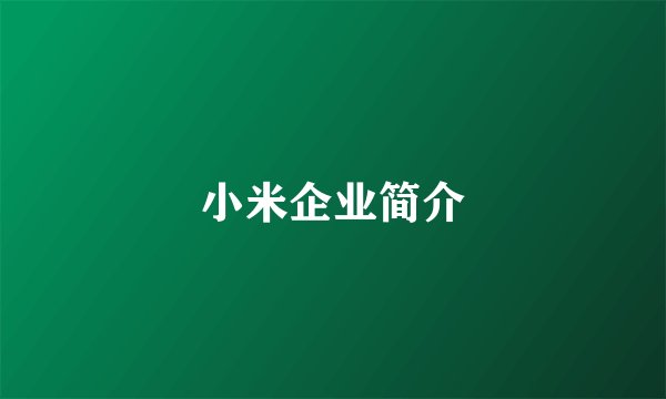 小米企业简介