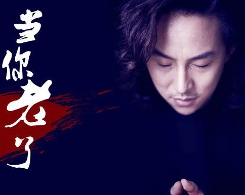 “当你老了,头发白了”是哪首歌里的歌词?
