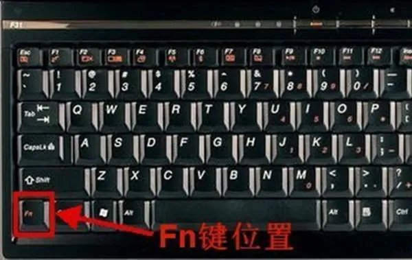 电脑的Fn是哪个键啊？