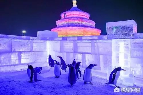 哈尔滨的冰雪大世界值得去吗?