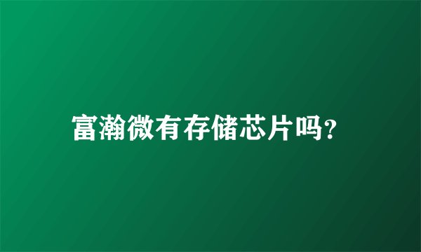 富瀚微有存储芯片吗？