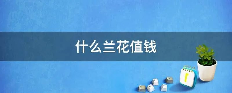 什么兰花值钱