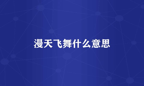 漫天飞舞什么意思