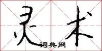 灵术