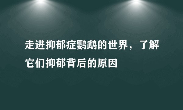 走进抑郁症鹦鹉的世界，了解它们抑郁背后的原因