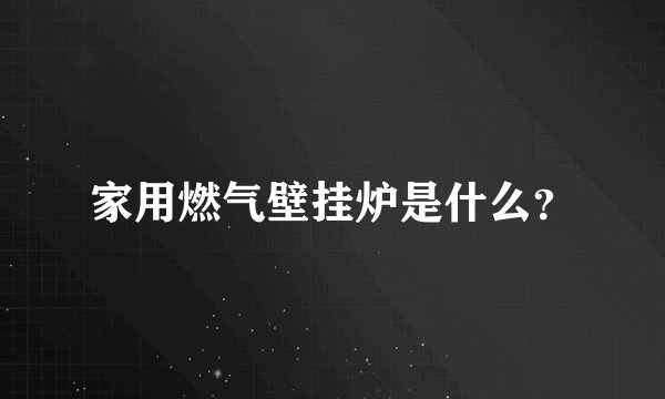 家用燃气壁挂炉是什么?