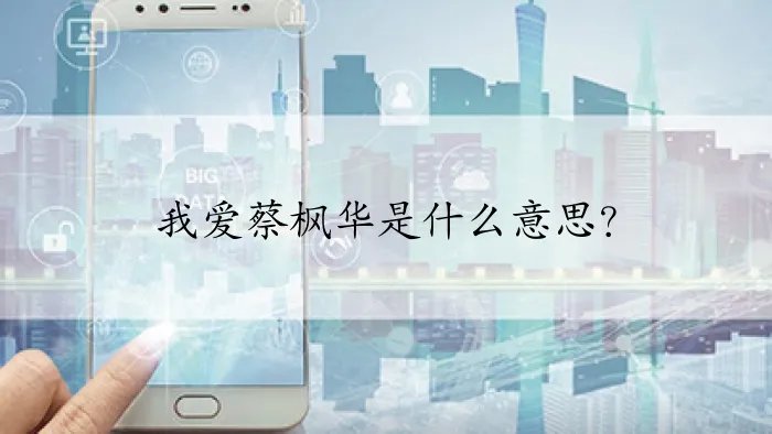 我爱蔡枫华是什么意思？