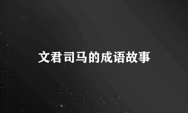 文君司马的成语故事
