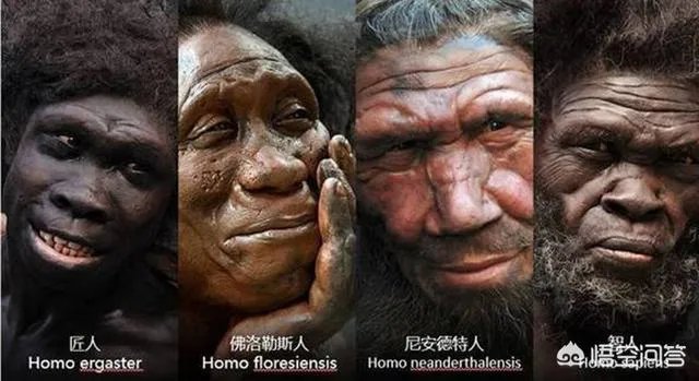 丹尼索瓦人最早哪里发现的?