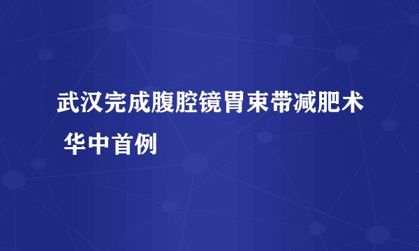 武汉完成腹腔镜胃束带减肥术 华中首例