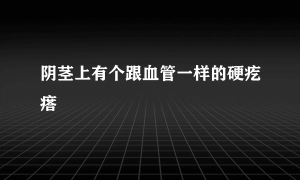 阴茎上有个跟血管一样的硬疙瘩