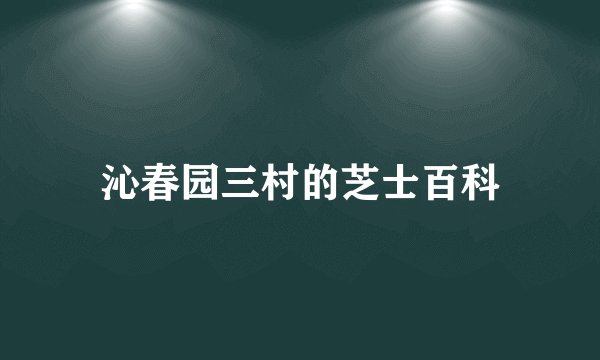 沁春园三村的芝士百科