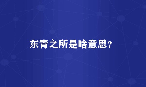 东青之所是啥意思?