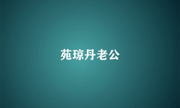 苑琼丹老公