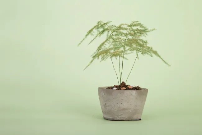 9月10日是什么节 每年9月10日是不是教师节