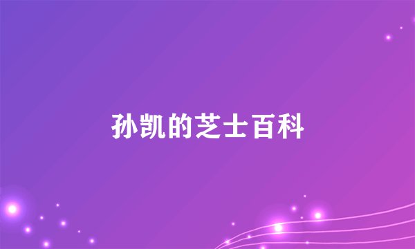 孙凯的芝士百科