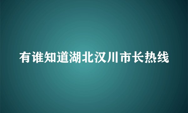有谁知道湖北汉川市长热线