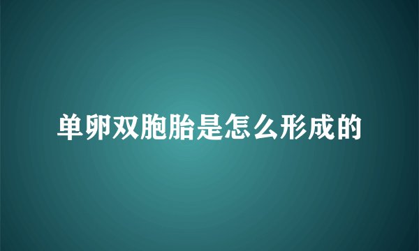 单卵双胞胎是怎么形成的