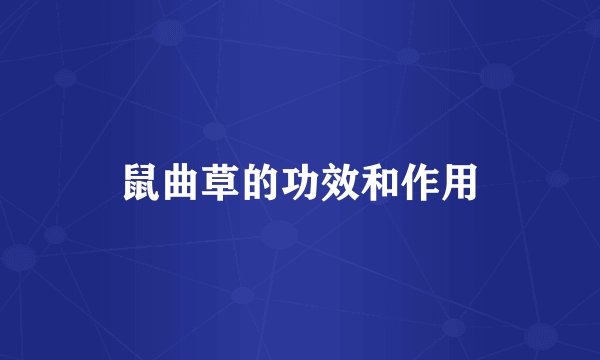 鼠曲草的功效和作用