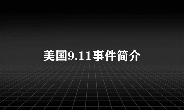 美国9.11事件简介