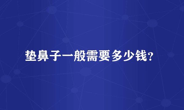 垫鼻子一般需要多少钱?