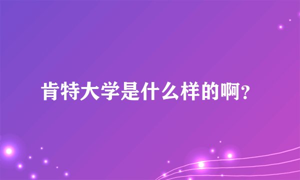 肯特大学是什么样的啊？