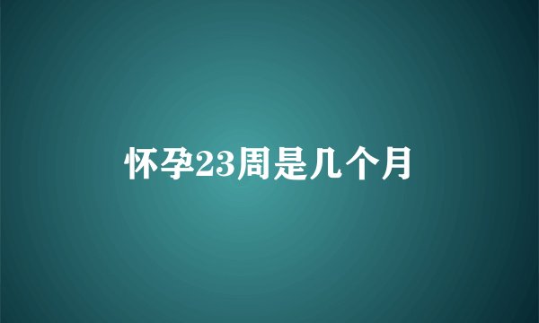 怀孕23周是几个月
