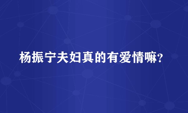 杨振宁夫妇真的有爱情嘛?