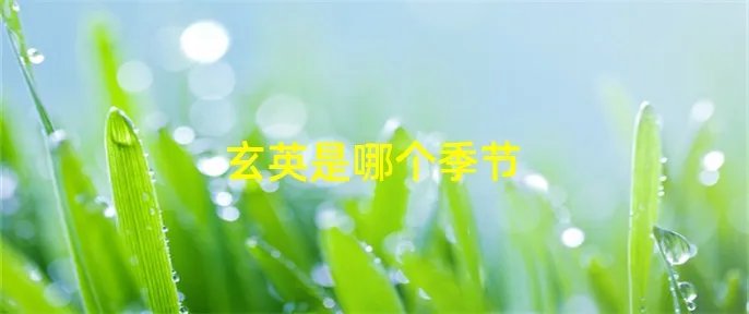 玄英是哪个季节