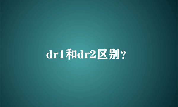 dr1和dr2区别?