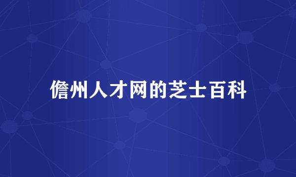 儋州人才网的芝士百科