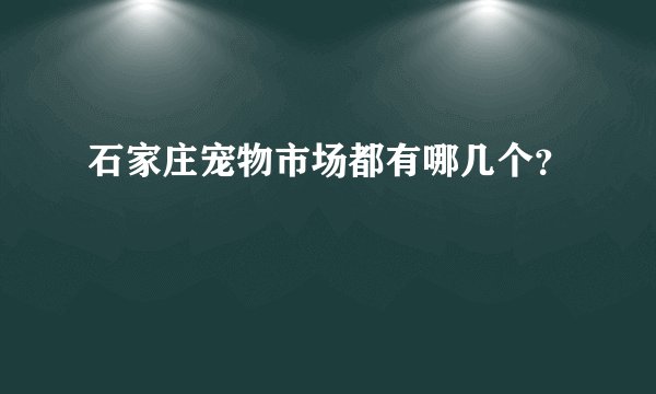 石家庄宠物市场都有哪几个？