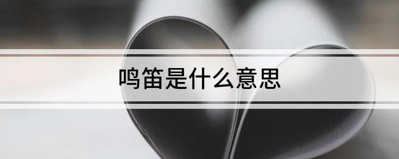 鸣笛是什么意思