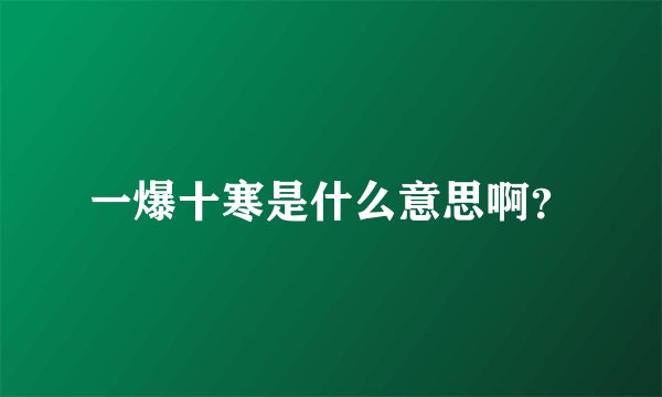 一爆十寒是什么意思啊？