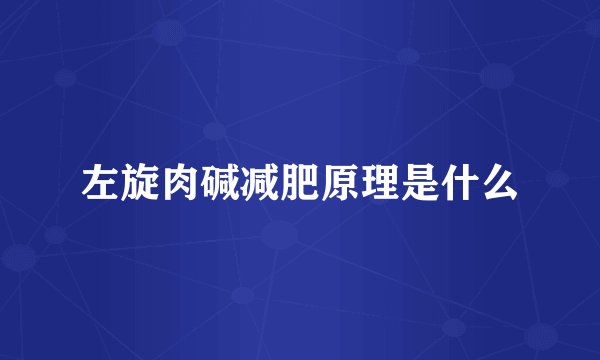 左旋肉碱减肥原理是什么