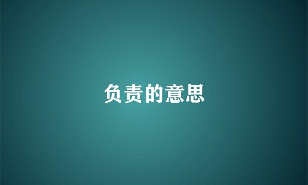 负责的意思