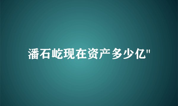 潘石屹现在资产多少亿