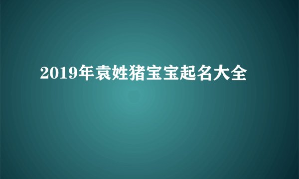 2019年袁姓猪宝宝起名大全