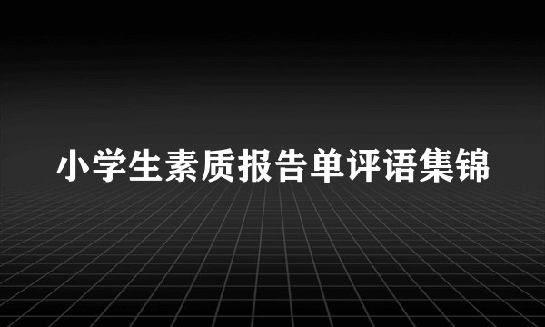 小学生素质报告单评语集锦