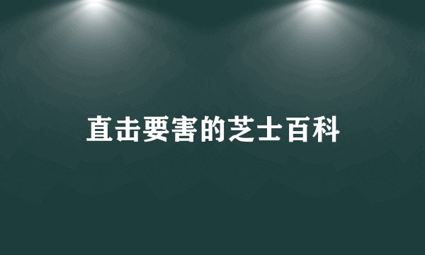 直击要害的芝士百科