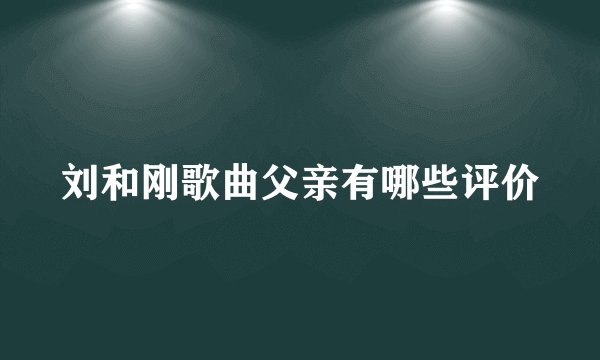 刘和刚歌曲父亲有哪些评价