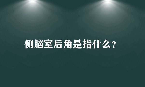 侧脑室后角是指什么？