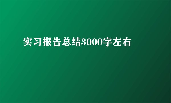 实习报告总结3000字左右