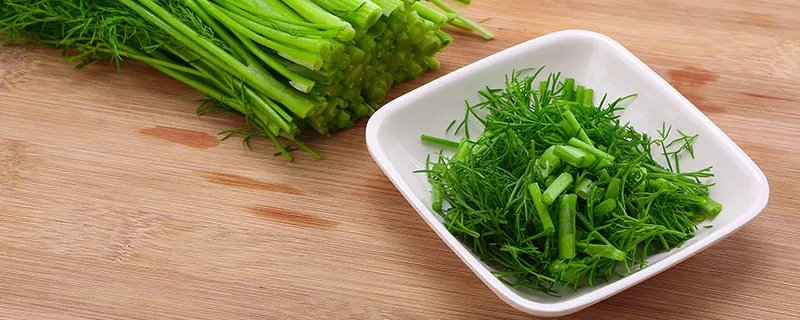 茴香菜的功效与作用 茴香菜图片
