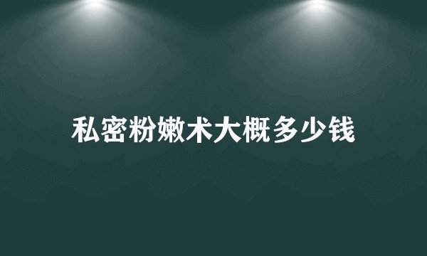 私密粉嫩术大概多少钱