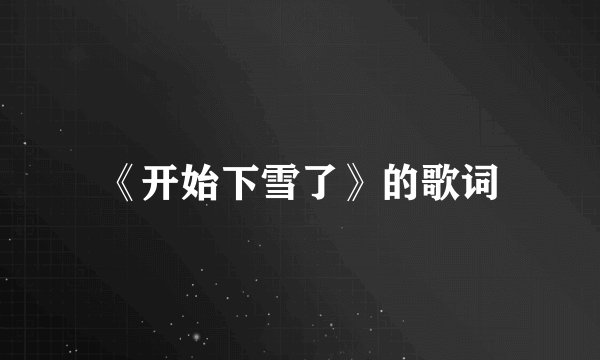 《开始下雪了》的歌词
