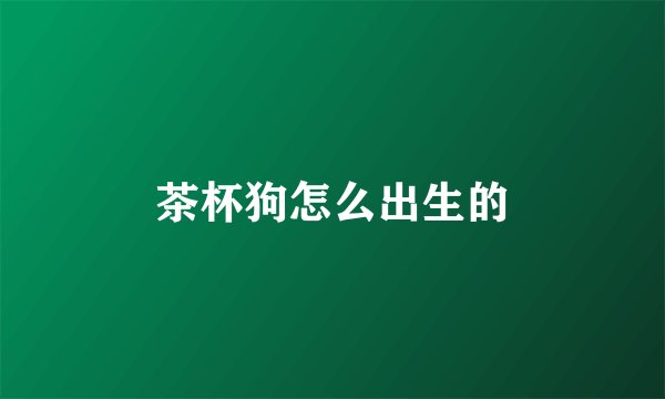 茶杯狗怎么出生的